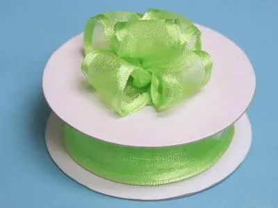 10 Yards 7/8" DIY Apple Green Wired Organza Ribbon For Craft Dress Wedding