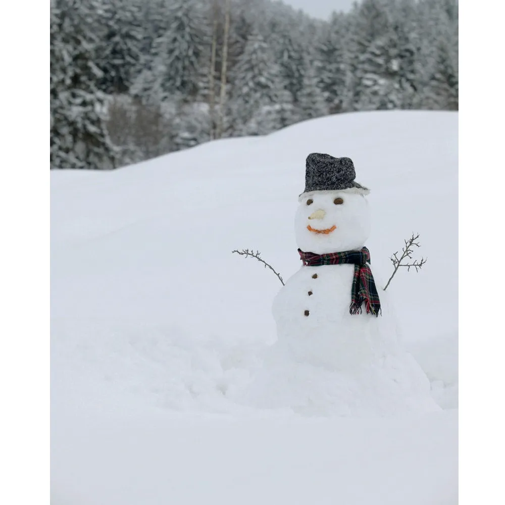 Joyful Snowman Printed Backdrop