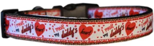 Melt Daddy's Heart Nylon Dog Collar Xs